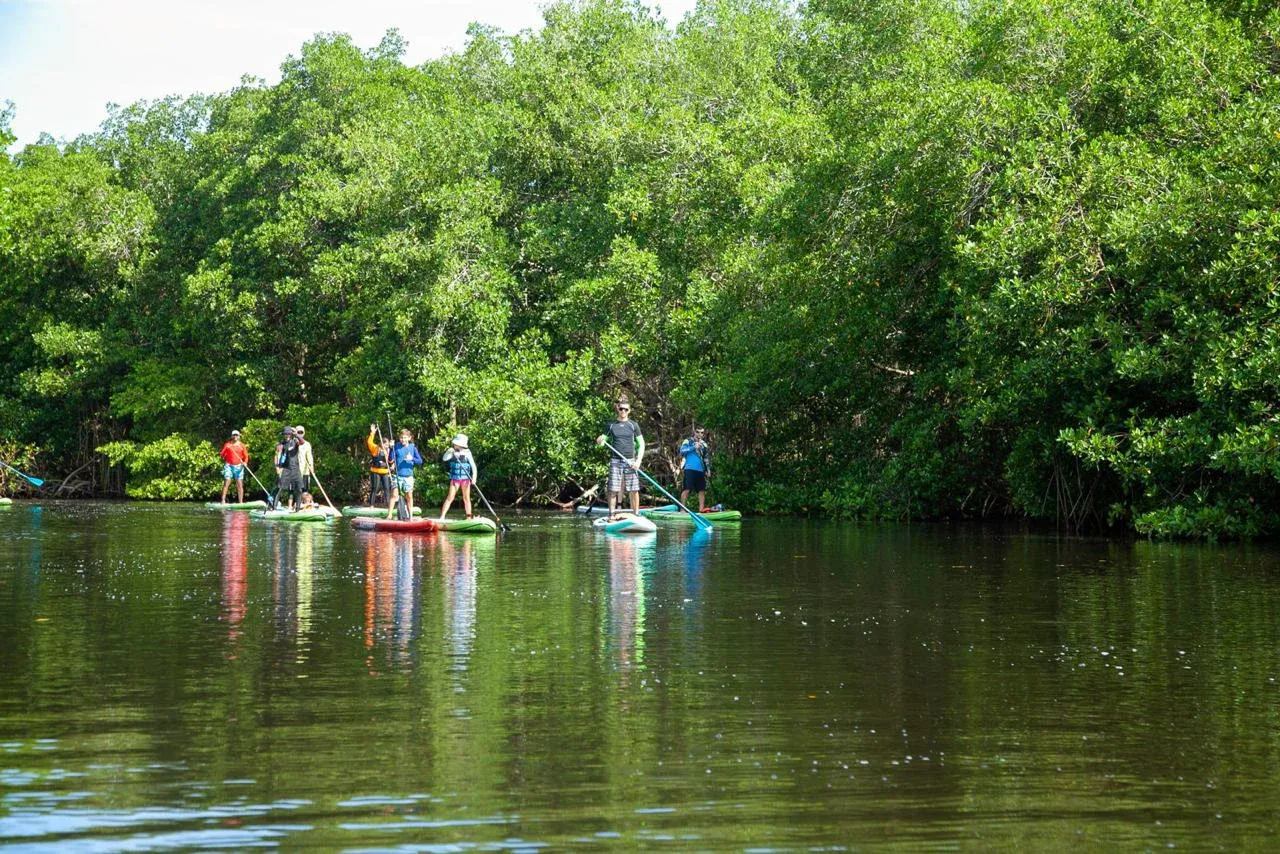 Ciénaga de la Caimanera